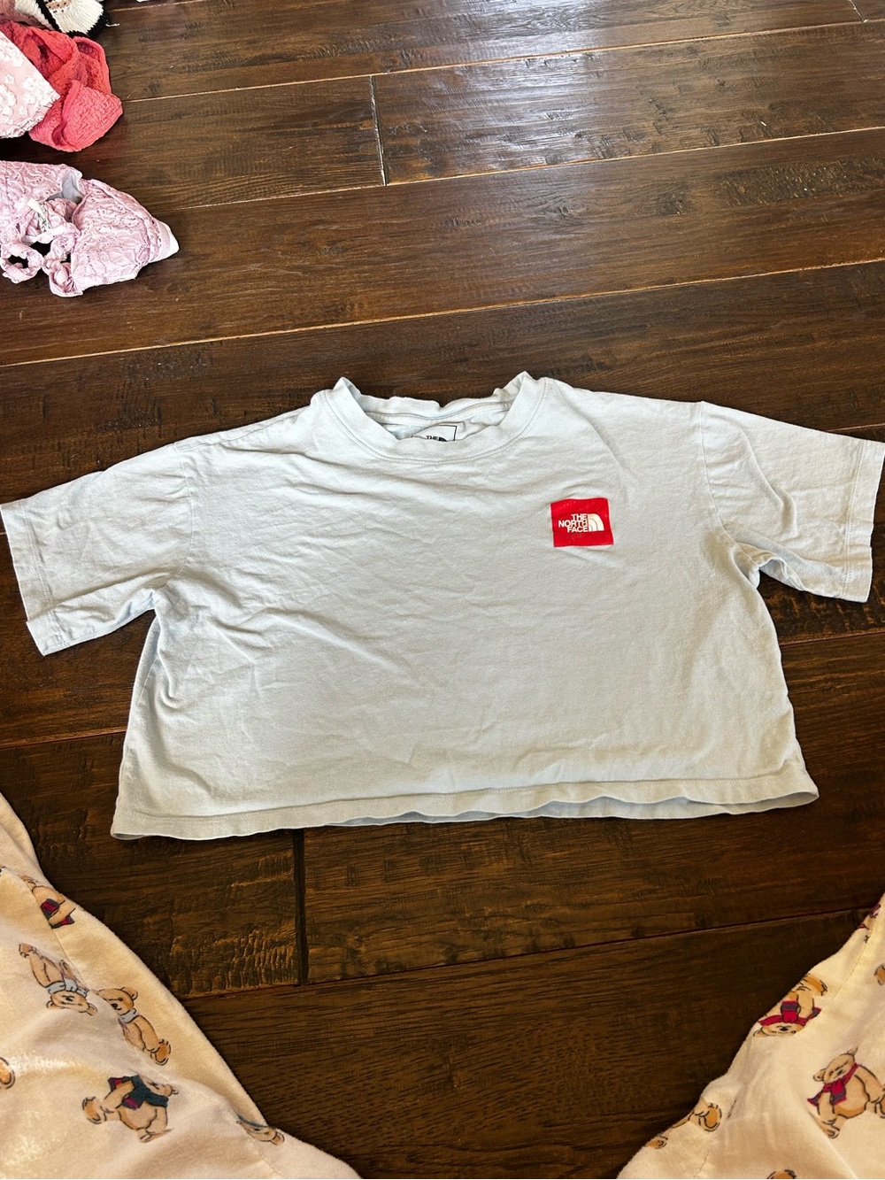 The North Face Pale Blue Short Sleeve Tee with Red Logo Patch